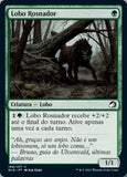 Lobo Rosnador / Snarling Wolf - Magic: The Gathering - MoxLand