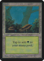 Floresta / Forest - Magic: The Gathering - MoxLand