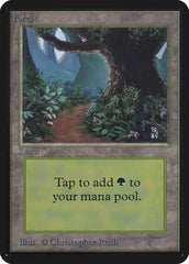 Floresta / Forest - Magic: The Gathering - MoxLand