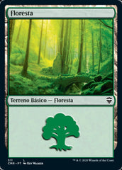 Floresta / Forest - Magic: The Gathering - MoxLand
