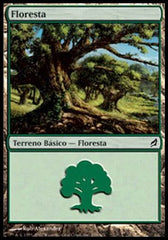 Floresta / Forest - Magic: The Gathering - MoxLand