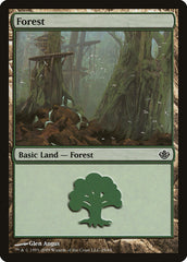 Floresta / Forest - Magic: The Gathering - MoxLand