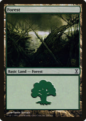 Floresta / Forest - Magic: The Gathering - MoxLand