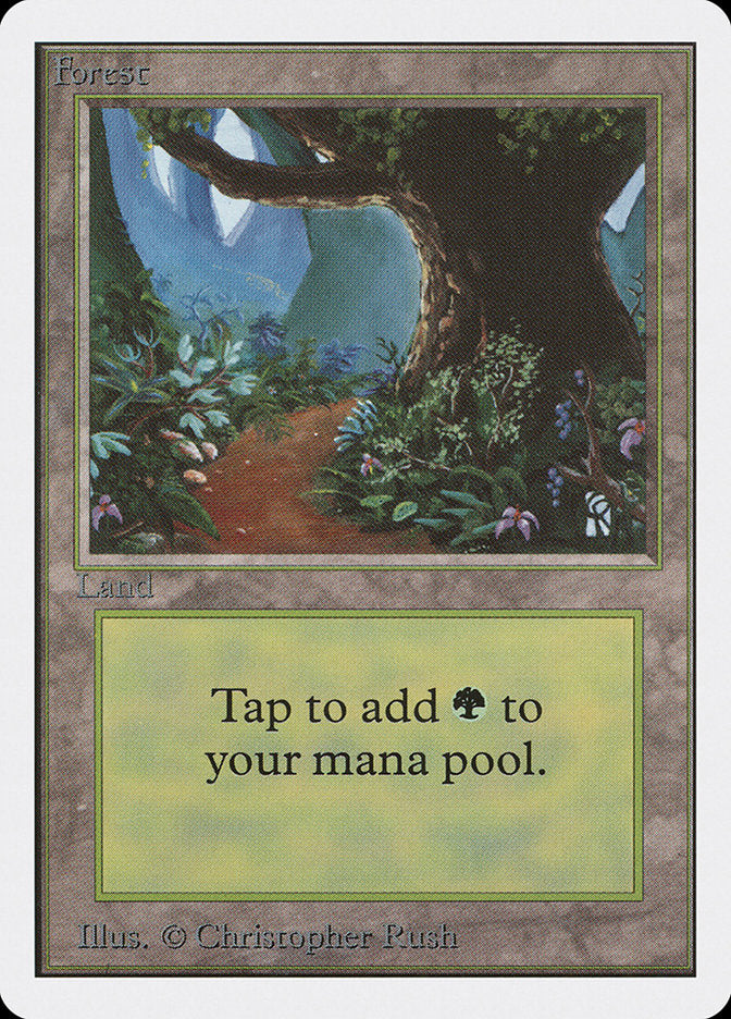 Floresta / Forest - Magic: The Gathering - MoxLand