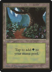 Floresta / Forest - Magic: The Gathering - MoxLand