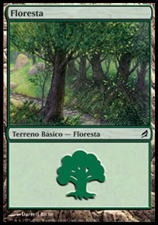 Floresta / Forest - Magic: The Gathering - MoxLand