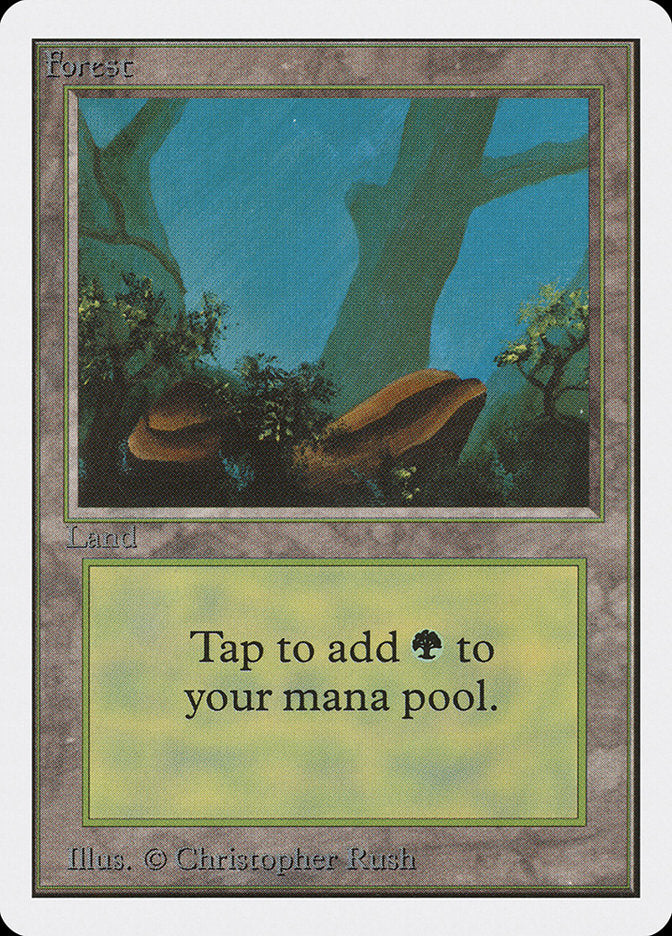 Floresta / Forest - Magic: The Gathering - MoxLand