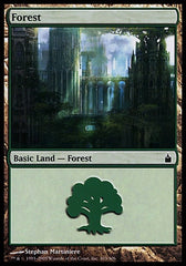 Floresta / Forest - Magic: The Gathering - MoxLand