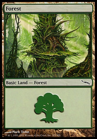 Floresta / Forest - Magic: The Gathering - MoxLand