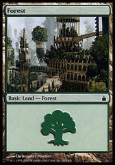 Floresta / Forest - Magic: The Gathering - MoxLand