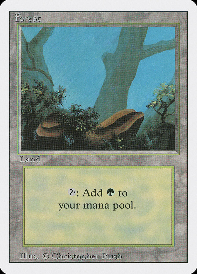 Floresta / Forest - Magic: The Gathering - MoxLand