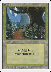 Floresta / Forest - Magic: The Gathering - MoxLand