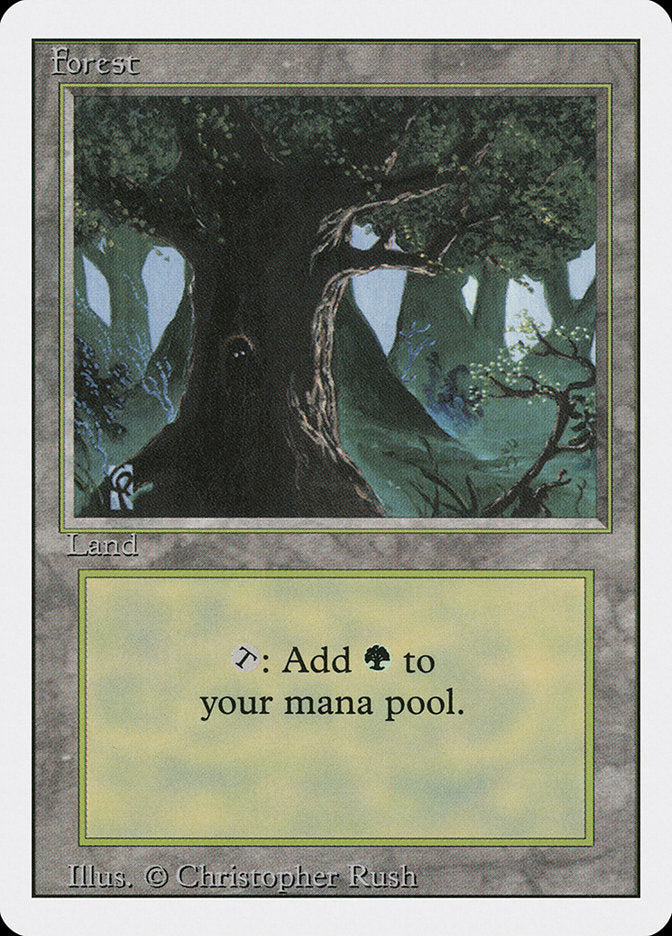 Floresta / Forest - Magic: The Gathering - MoxLand