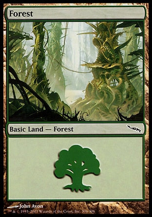 Floresta / Forest - Magic: The Gathering - MoxLand