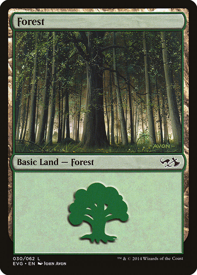 Floresta / Forest - Magic: The Gathering - MoxLand