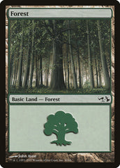 Floresta / Forest - Magic: The Gathering - MoxLand