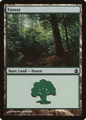 Floresta / Forest - Magic: The Gathering - MoxLand