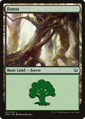 Floresta / Forest - Magic: The Gathering - MoxLand