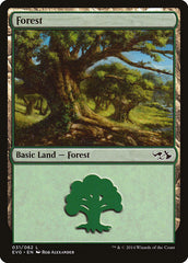 Floresta / Forest - Magic: The Gathering - MoxLand