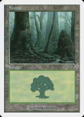 Floresta / Forest - Magic: The Gathering - MoxLand