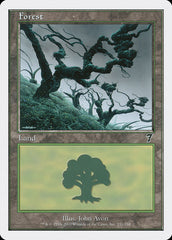 Floresta / Forest - Magic: The Gathering - MoxLand