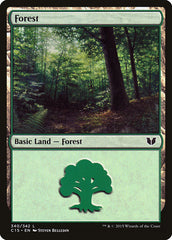 Floresta / Forest - Magic: The Gathering - MoxLand