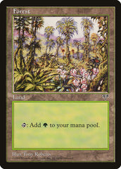 Floresta / Forest - Magic: The Gathering - MoxLand