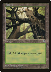 Floresta / Forest - Magic: The Gathering - MoxLand