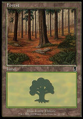 Floresta / Forest - Magic: The Gathering - MoxLand