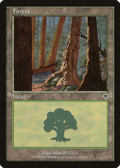 Floresta / Forest - Magic: The Gathering - MoxLand