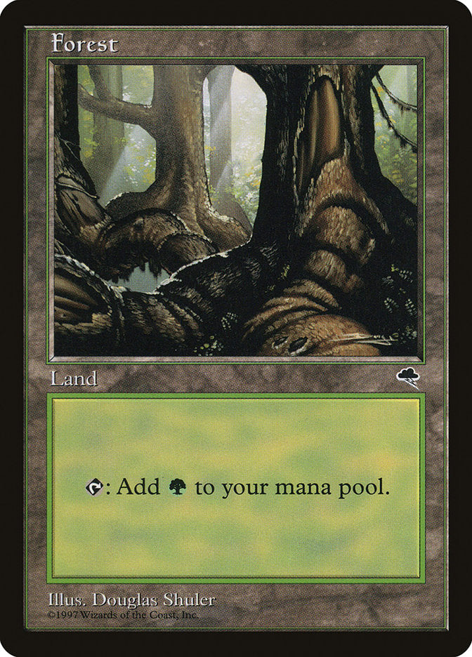 Floresta / Forest - Magic: The Gathering - MoxLand