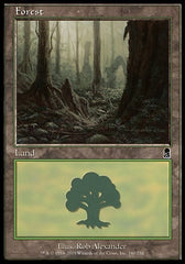 Floresta / Forest - Magic: The Gathering - MoxLand