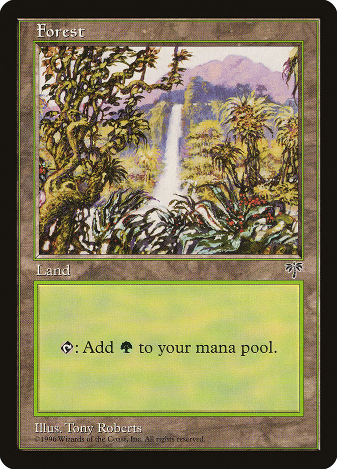 Floresta / Forest - Magic: The Gathering - MoxLand