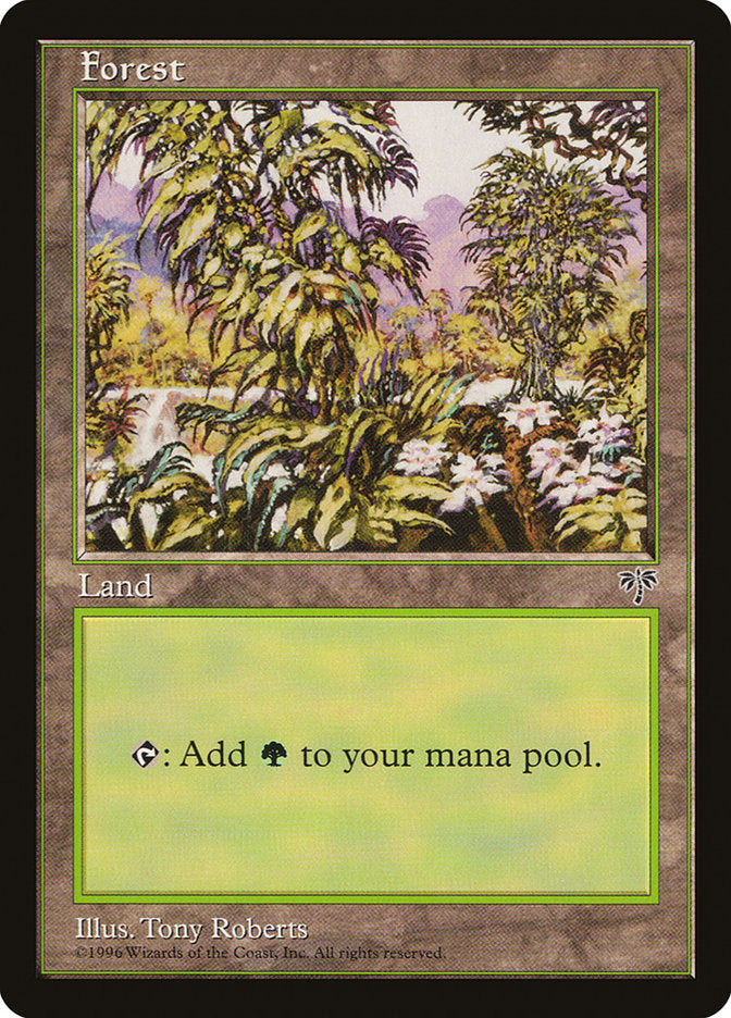 Floresta / Forest - Magic: The Gathering - MoxLand