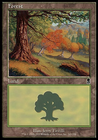 Floresta / Forest - Magic: The Gathering - MoxLand