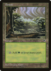 Floresta / Forest - Magic: The Gathering - MoxLand