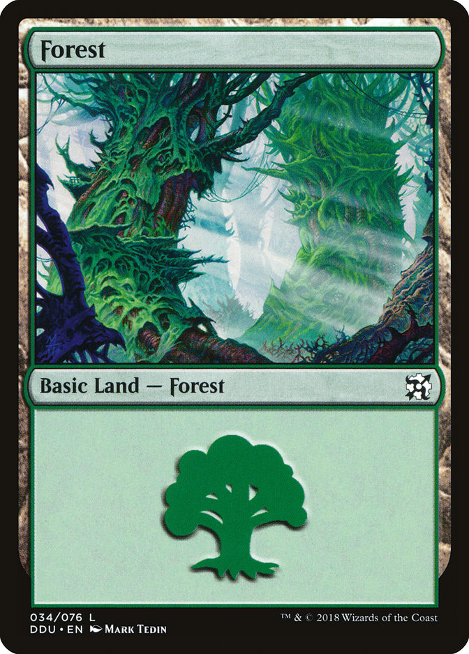 Floresta / Forest - Magic: The Gathering - MoxLand