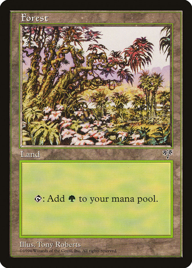 Floresta / Forest - Magic: The Gathering - MoxLand