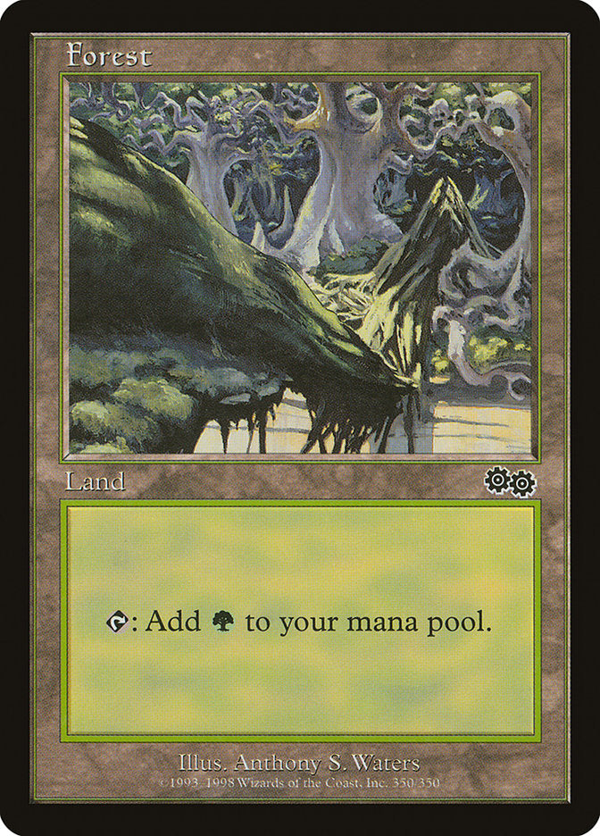 Floresta / Forest - Magic: The Gathering - MoxLand