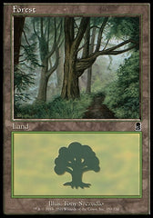 Floresta / Forest - Magic: The Gathering - MoxLand