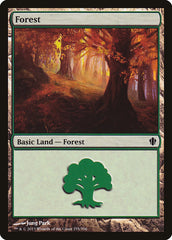 Floresta / Forest - Magic: The Gathering - MoxLand