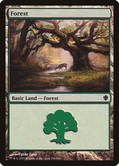 Floresta / Forest - Magic: The Gathering - MoxLand