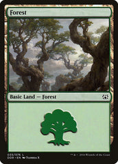 Floresta / Forest - Magic: The Gathering - MoxLand