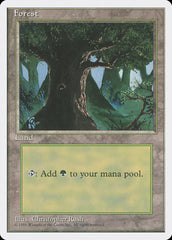 Floresta / Forest - Magic: The Gathering - MoxLand