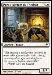 Puros-sangues de Thraben / Thraben Purebloods - Magic: The Gathering - MoxLand