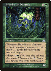 Nantuko Choca-Ninhadas / Broodhatch Nantuko - Magic: The Gathering - MoxLand