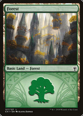 Floresta / Forest - Magic: The Gathering - MoxLand