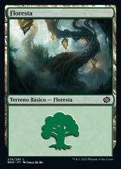 Floresta / Forest - Magic: The Gathering - MoxLand