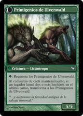 Místicos de Ulvenwald / Ulvenwald Mystics - Magic: The Gathering - MoxLand