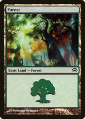 Floresta / Forest - Magic: The Gathering - MoxLand